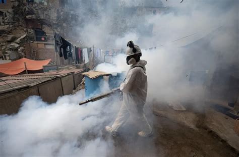 dengue fever outbreak in peru