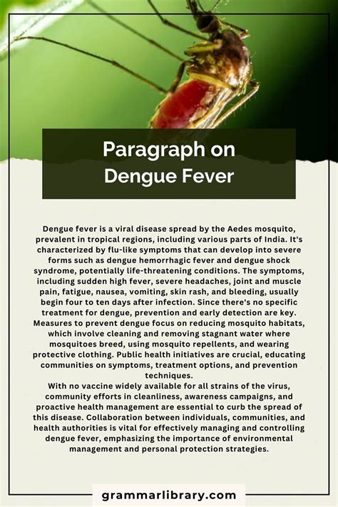 dengue fever paragraph 100 words