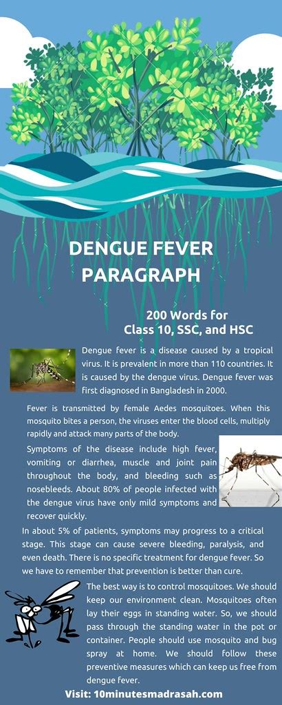 dengue fever paragraph class 10