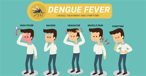 dengue fever symptoms and treatment