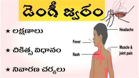dengue fever symptoms in telugu