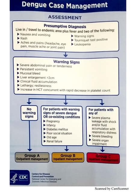 dengue fever treatment guidelines