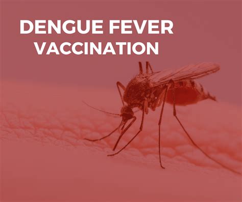 dengue fever vaccine uk