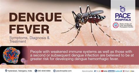 dengue fever what is it