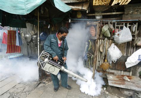 dengue fieber thailand