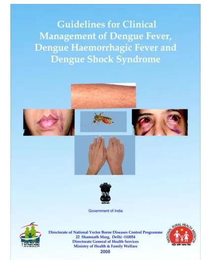 dengue guidelines 2023 pdf