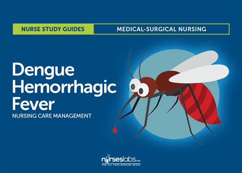 dengue hemorrhagic fever health teaching