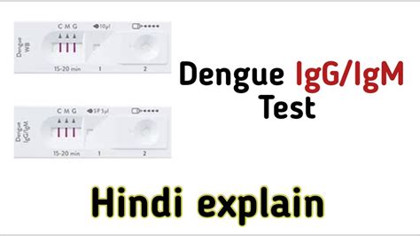 dengue igm positive means in hindi