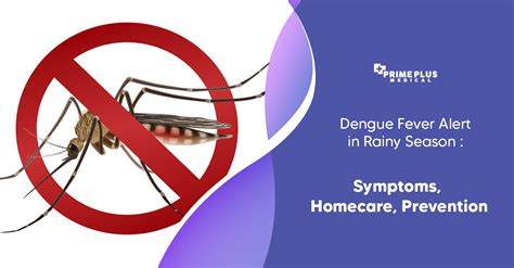 dengue in punta cana