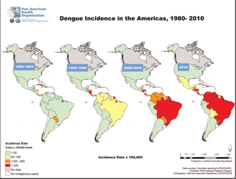 dengue in the americas