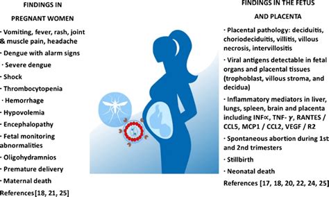 dengue infection in pregnancy