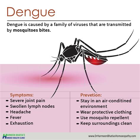 dengue is caused by virus