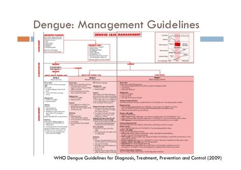 dengue management guidelines 2022