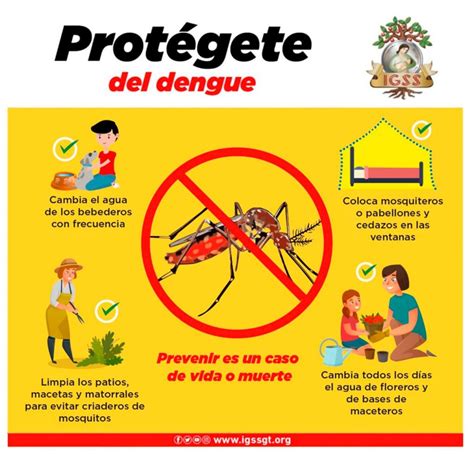 dengue ministerio de salud 2023