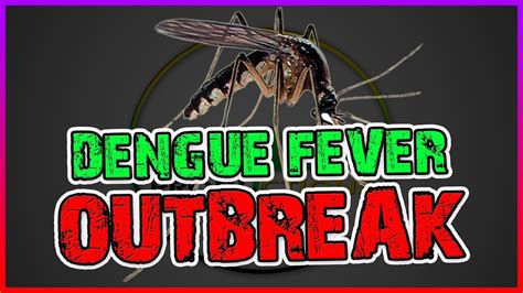 dengue outbreak in jamaica