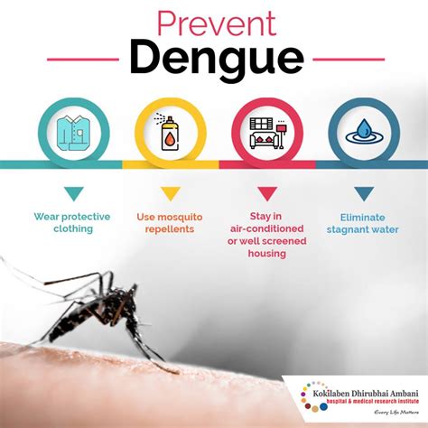 dengue prevention and control poster
