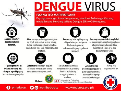dengue program of doh philippines