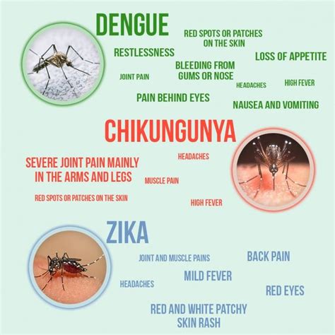 dengue rashes treatment