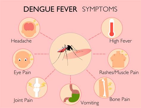 Dengue Symptoms