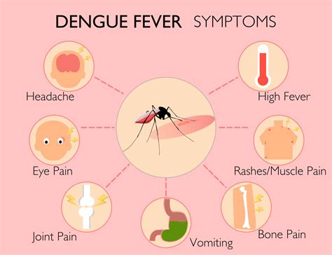 dengue symptoms