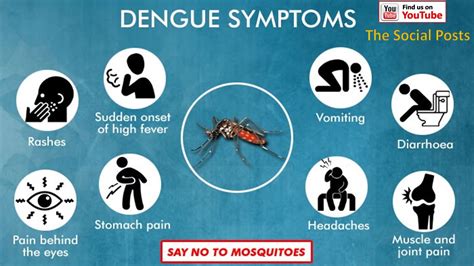 dengue symptoms in babies