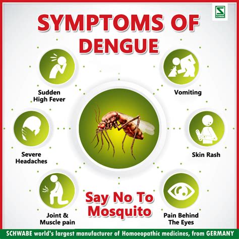 dengue symptoms in nepali