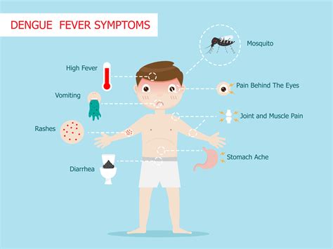 dengue symptoms kids