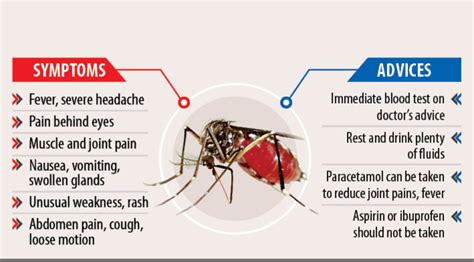 dengue symptoms kids bangla
