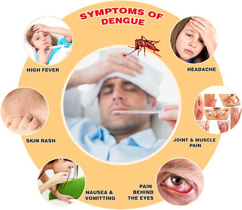 dengue symptoms treatment