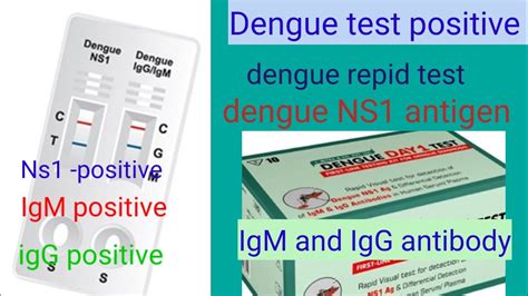 dengue test igg positive means