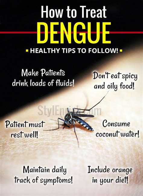 dengue treatment