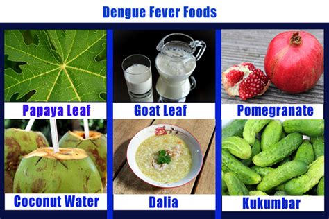 dengue treatment food