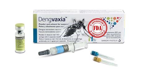 dengue vaccine cyd-tdv