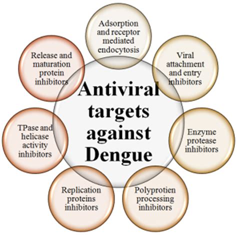 dengue vaccine update