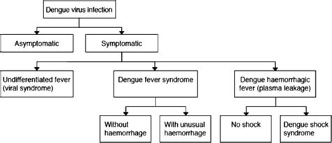 dengue virus classification
