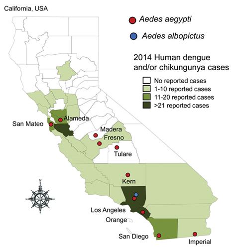 dengue virus in california