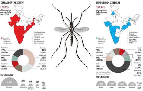 dengue virus in india