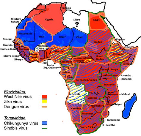 dengue virus infection in africa