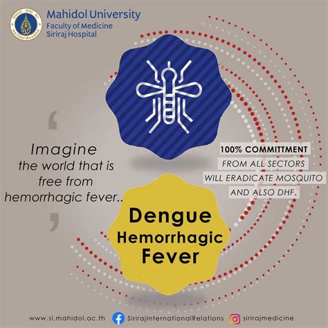 dengue vs dengue hemorrhagic fever