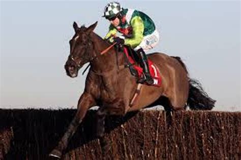 Denman retired Tributes for chasing great after injury ends horse's