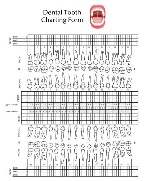 Dental Chart Form Pdf