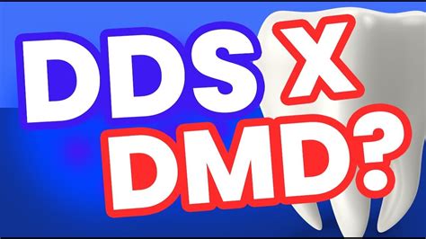 Dental Dmd Definition
