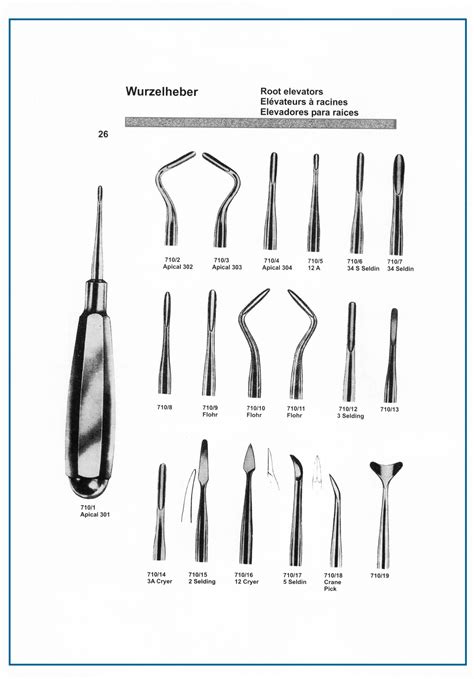 Dental Elevator Names