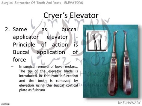 Dental Elevator Slideshare