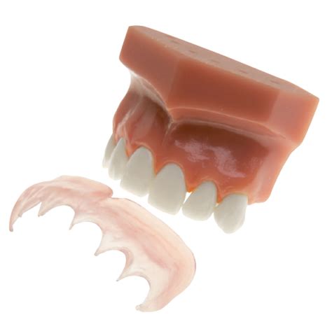 Dental Gingival Mask