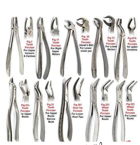 Dental Pliers Types