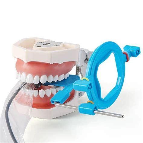 Dental Sensor Positioning System