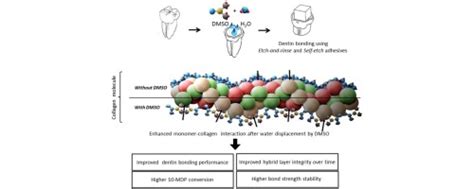 Dentin Bonding Optimization