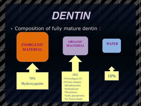 Dentin Composition