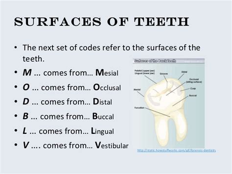 Dentist Tooth Surface Codes